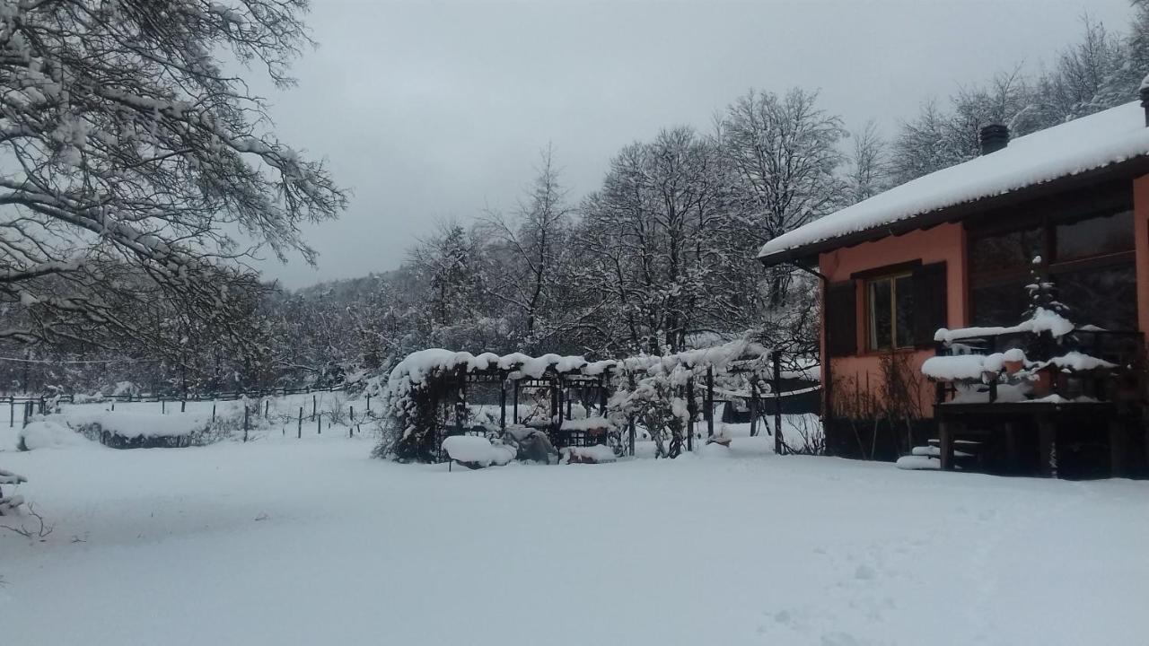 Il Pettirosso Di Giusvalla Εξωτερικό φωτογραφία
