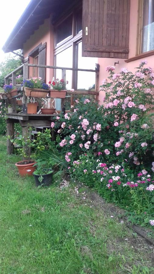 Il Pettirosso Di Giusvalla Εξωτερικό φωτογραφία